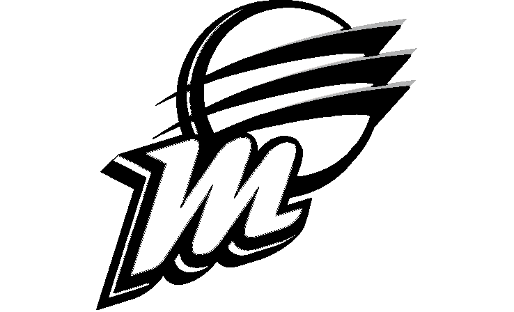 Stylized black logo combining a leaf shape with sweeping lines and an angular letterform.